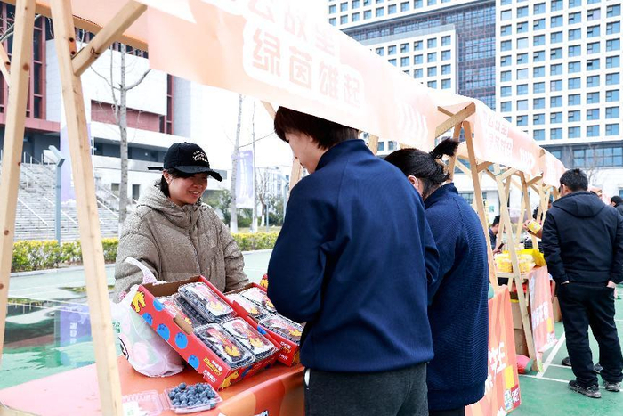 世界杯客户端更新下载-合肥城市足球联赛肥东主场首战激情开赛|肥东队|巢湖|体育场|比赛|球员_新浪体育_新浪新闻